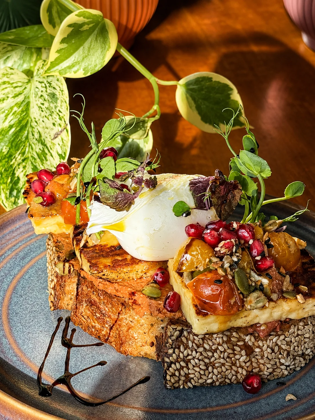 Seeded toast with poached egg, halloumi, tomatoes and greens